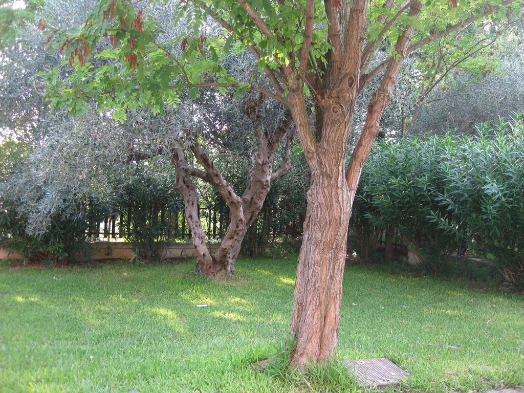 Caputaquis Bed & Breakfast Capaccio Ngoại thất bức ảnh